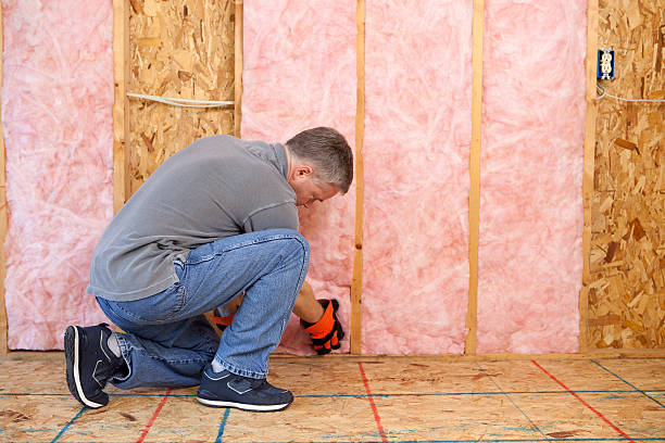 Best Commercial Insulation Services  in Harlan, IA